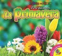 bokomslag La Primavera