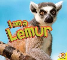 Aaron Carr - I Am a Lemur, Häftad