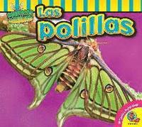 bokomslag Las Polillas