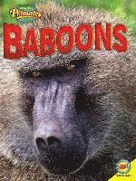 bokomslag Baboons