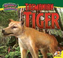 Tasmanian Tiger 1