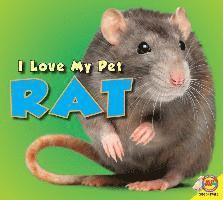 Aaron Carr - Rat, Häftad