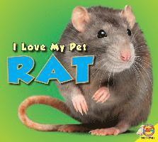 Rat 1