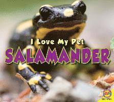 bokomslag Salamander