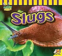 bokomslag Slugs