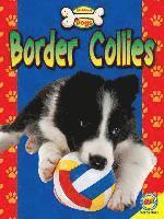 bokomslag Border Collies