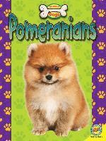 bokomslag Pomeranians