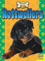 bokomslag Rottweilers