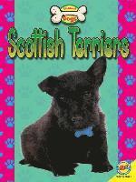 bokomslag Scottish Terriers