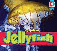 bokomslag All about Jellyfish