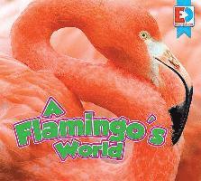 A Flamingo's World