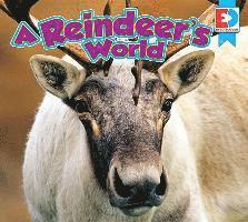 bokomslag A Reindeer's World