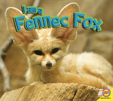 I Am a Fennec Fox 1