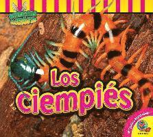 Los Ciempiés