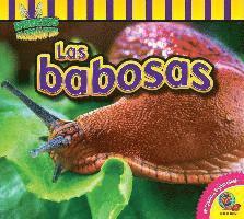 John Willis - Las Babosas, Inbunden