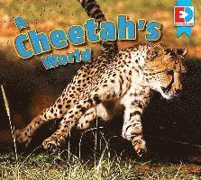 Katie Gillespie - A Cheetah's World, Inbunden