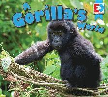 Katie Gillespie - A Gorilla's World, Inbunden