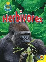 bokomslag Herbivores