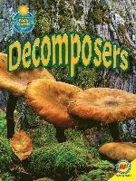 bokomslag Decomposers