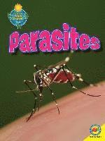Megan Kopp - Parasites, Häftad