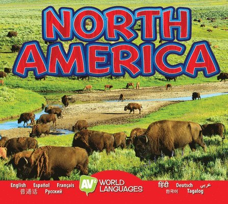 Alexis Roumanis - North America, Inbunden