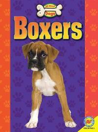 bokomslag Boxers