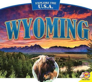 bokomslag Wyoming