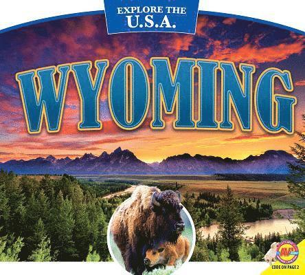 Wyoming 1