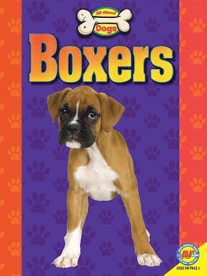 Joanne Mattern - Boxers, Häftad