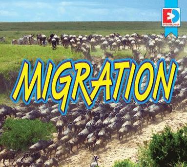 John Willis - Migration, Inbunden