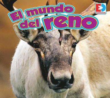 John Willis - El Mundo del Reno, Inbunden