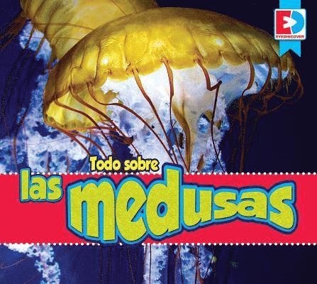Katie Gillespie - Todo Sobre Las Medusas, Inbunden