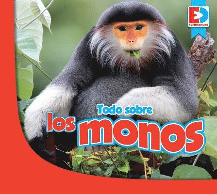 Jared Siemens - Todo Sobre Los Monos, Inbunden