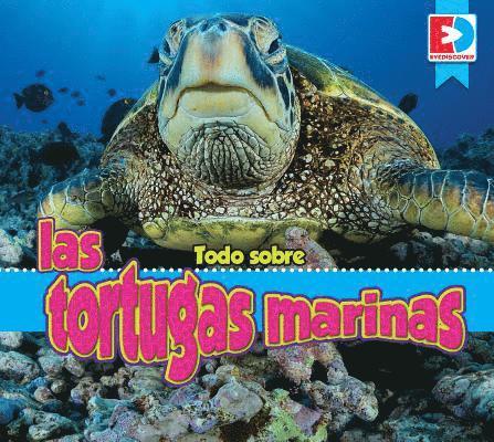 Katie Gillespie - Todo Sobre Las Tortugas Marinas, Inbunden