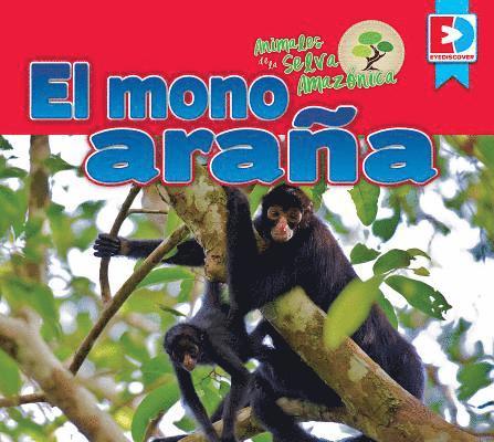 Katie Gillespie - Animales de la Selva Amazónica -- El Mono Araña, Inbunden
