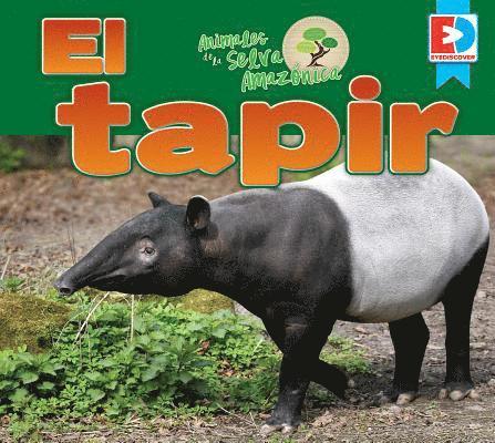 Katie Gillespie - Animales de la Selva Amazónica -- El Tapir, Inbunden