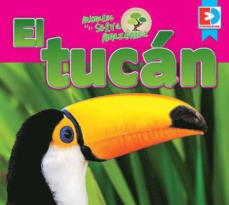 Katie Gillespie - Animales de la Selva Amazónica -- El Tucán, Inbunden