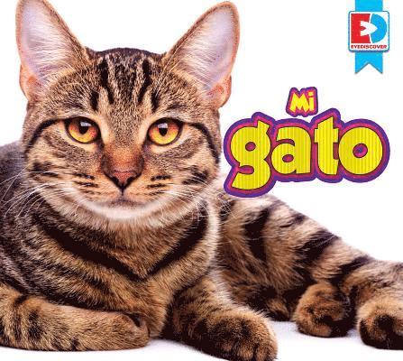 Katie Gillespie - Mi Gato, Inbunden