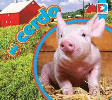 bokomslag Mi Cerdo