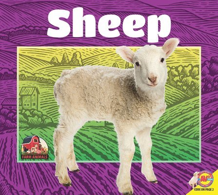 Jared Siemens - Sheep, Inbunden