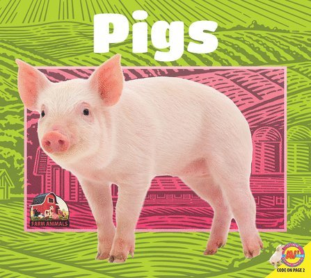 Jared Siemens - Pigs, Inbunden