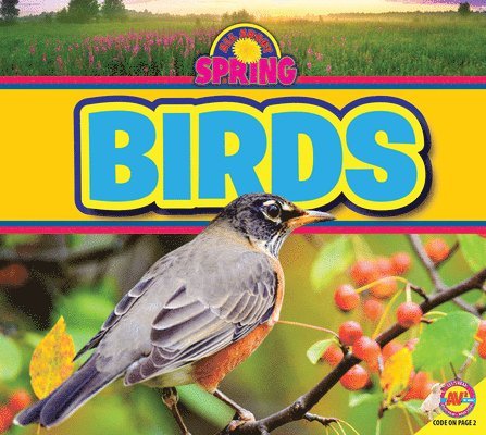 Ruth Daly - Birds, Inbunden