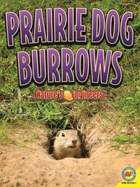 bokomslag Prairie Dog Burrows