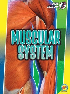 Simon Rose - Muscular System, Inbunden