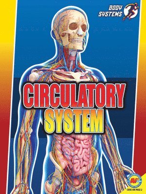 Circulatory System 1
