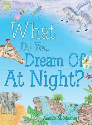 What Do You Dream of at Night? 1