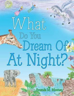 What Do You Dream of at Night? 1