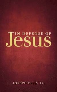 bokomslag In Defense of Jesus
