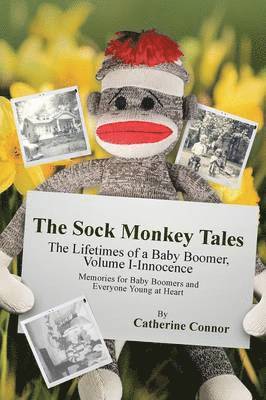 Sock Monkey Tales 1