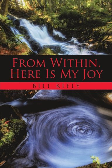 bokomslag From Within, Here Is My Joy